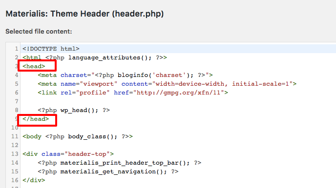  <head> element i header.php filen